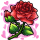 Roseweaver Rose