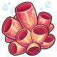 Coral Sands Rune
