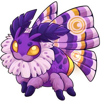 Calil Nochturn