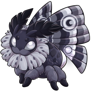Carbon Nochturn